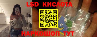 дмт Камышлов